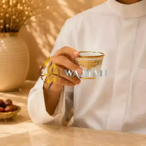 WGPCCSAS127 (5) Premium 12‑Piece Porcelain Cawa Cup Set with Gold Embellished Design