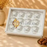 WSCCSAS2 (6) Premium 12‑Piece Porcelain Cawa Cup Set with Silver Palm and Oasis Motifs